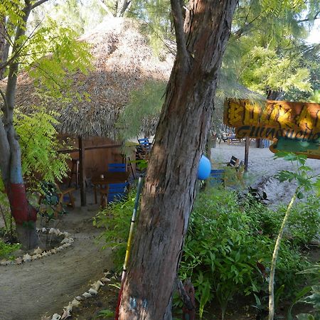 Boukan Guinguette Ξενοδοχείο Mole-Saint-Nicolas Εξωτερικό φωτογραφία